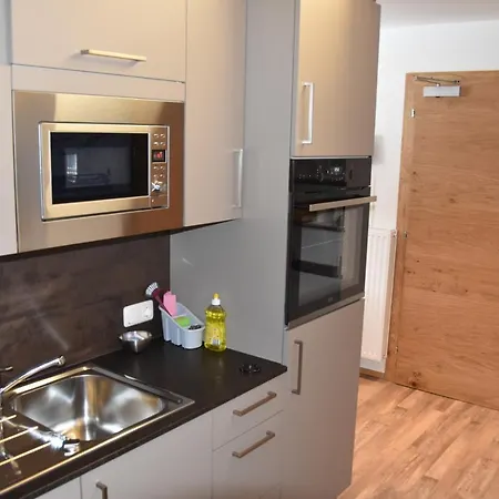 Guest house Gaestehaus Alpina 3*