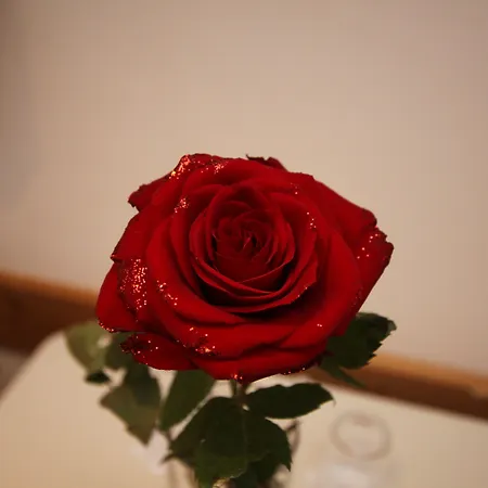 בית הארחה Gaestehaus Alpina 4*